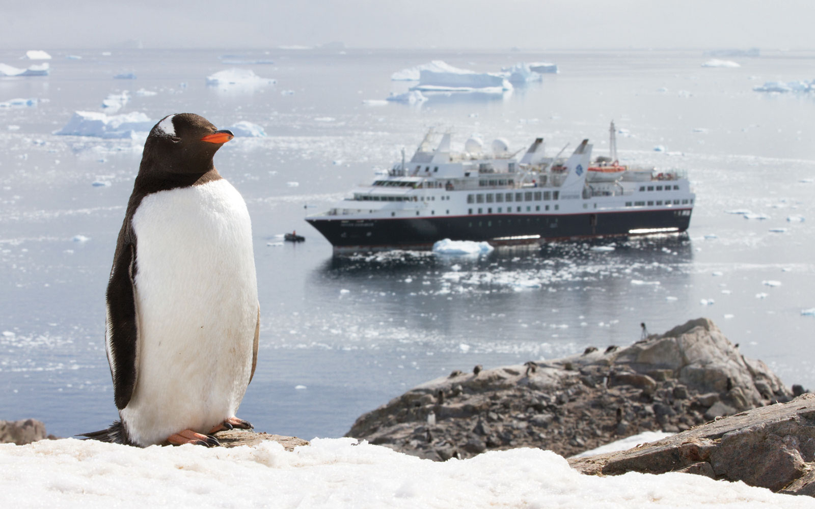 What Is Expedition Cruising